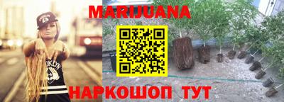 крисы Можайск
